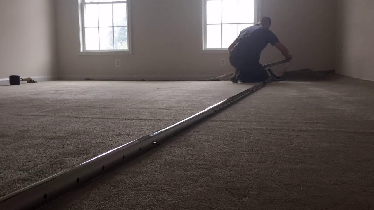 Carpet