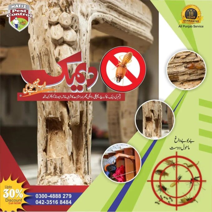 Pest Control Services