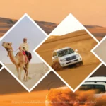 Desert Safari