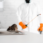 rodent control services