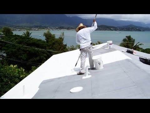 roof painting